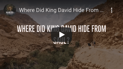 Ein Gedi