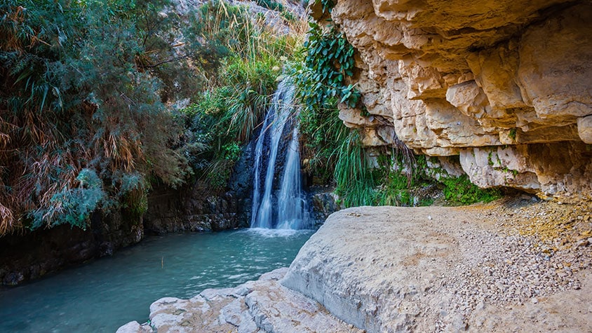 Ein Gedi | The Jewel of the Desert