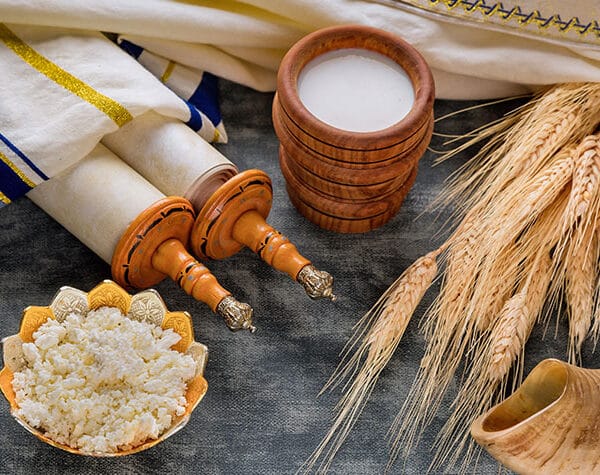 Holidays in Israel: Sukkot